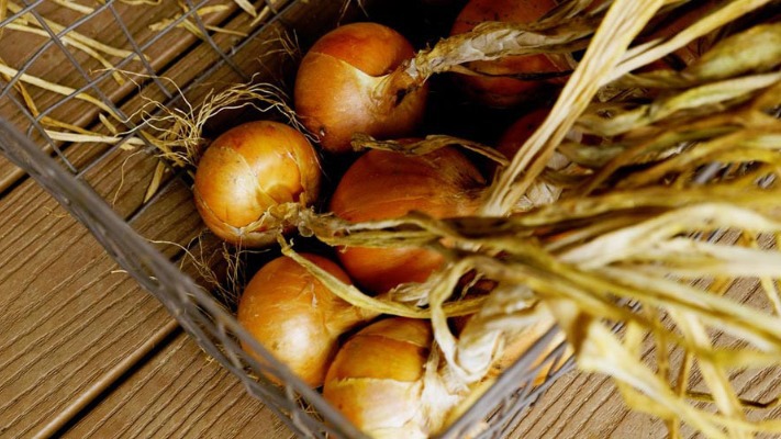 Як зберігати ріпчасту цибулю, щоби вона не псувалася до весни