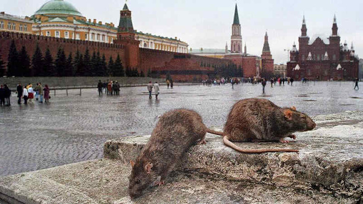 Путінський режим — це царська модель, де війна тримає владу