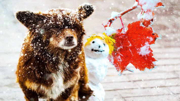 Як Україна переживе наступну зиму? Прогноз експертів